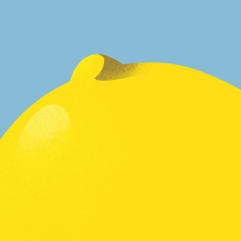 Suhm art print food fruit lemon minimalist illustration