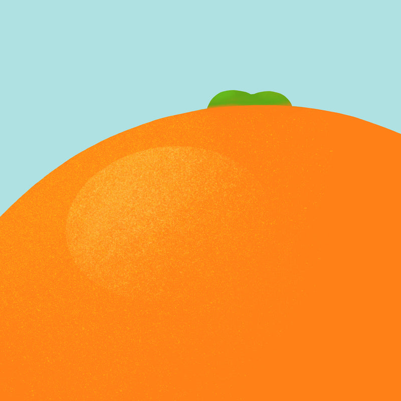 Suhm art print food fruit orange minimalist illustration